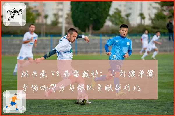 林书豪 vs 弗雷戴特：小外援单赛季场均得分与球队贡献率对比