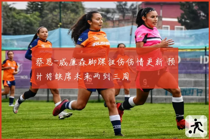 蔡恩-威廉森脚踝扭伤伤情更新 预计将缺席未来两到三周