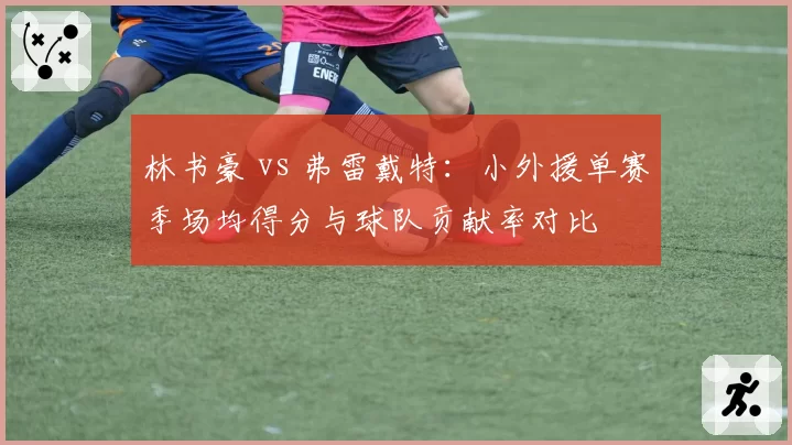 林书豪 vs 弗雷戴特：小外援单赛季场均得分与球队贡献率对比