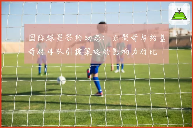 国际球星签约动态：东契奇与约基奇对母队引援策略的影响力对比