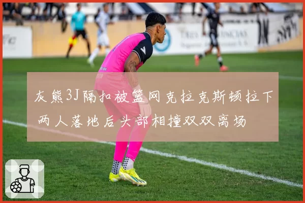 灰熊3J隔扣被篮网克拉克斯顿拉下 两人落地后头部相撞双双离场